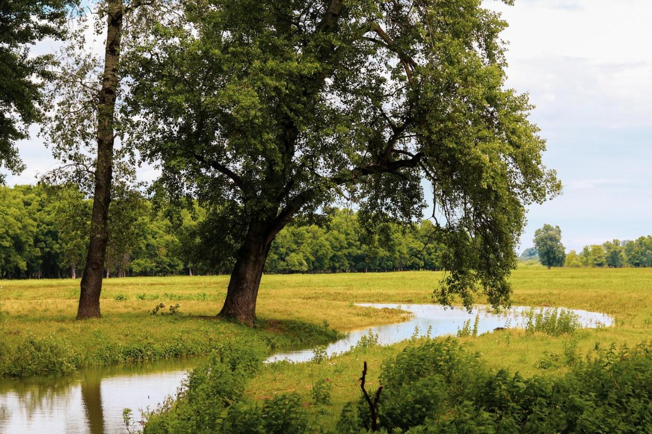 Zmaj Ognjeni Etno Concept Kupinovo Exterior foto