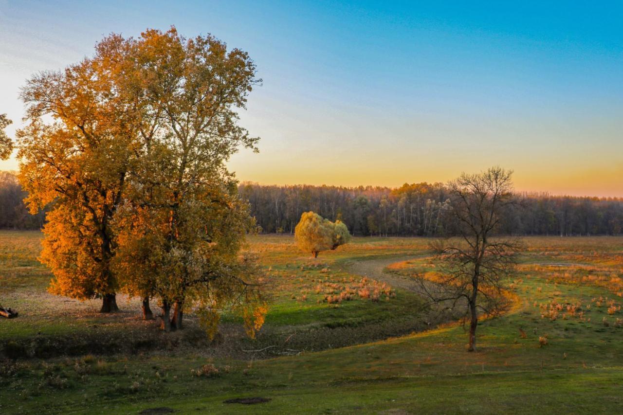 Zmaj Ognjeni Etno Concept Kupinovo Exterior foto